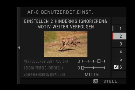 Fujifilm X-T2, Einstellung 2: Verfolgung eines bestimmten Objektes, z.B. Tiere oder Zug (plötzlich auftretende Hindernisse werden ignoriert, Hauptobjekt bleibt im Fokus).