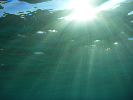 FT1, rund 100 cm unter Wasser, gegen Sonne gerichtet. Strand&Surf-Programm