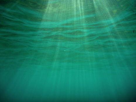 Gleicht kommt ein Alien: FT1 ca 1.5 Meter unter Wasser, gegen aufwärts gerichtet. (Strand&Surf-Programm)