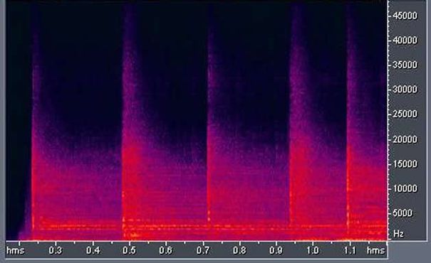 Diese Abbildung zeigt die Aufnahme in Ihrem vollen Frequenzumfang. Sie wurde anhand einer Aufzeichnung mit 96 kHz / 24 Bit erzeugt. Bei einer solchen Aufnahme können Sie sich sicher sein, dass Ihnen nichts entgeht - der volle Hörgenuss ist garantiert.