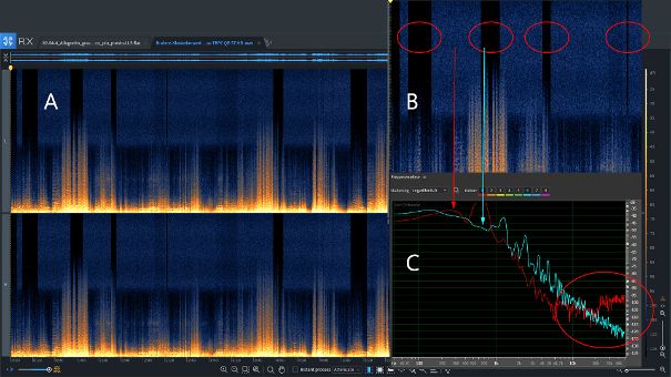 Frequenzanalyse des 4. Satzes von Op. 83. A: Das Spektrum reicht bis knapp über 30 kHz. B: Die nachbearbeitete Live-Aufnahme zeigt stellenweise deutliche Rauschanteile oberhalb von 23 kHz. C: Der Rauschpegel liegt bei -95 dB.
