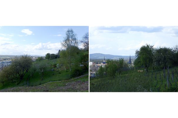 Das 4-fache Zoom der Olympus Tough TG-4 in Weitwinkel- und Tele-Einstellung. Im linken Foto befindet sich der Kirchturm in der Bildmitte.
