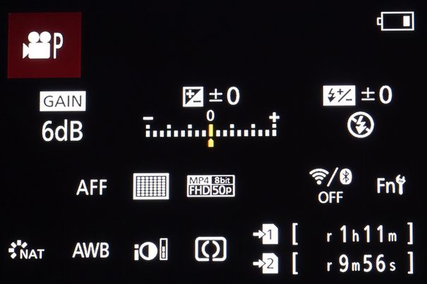 Praxisnah: Der Info-Monitor zeigt die Video-Signalverstärkung wie von Filmern gewohnt in dB (Gain) an.