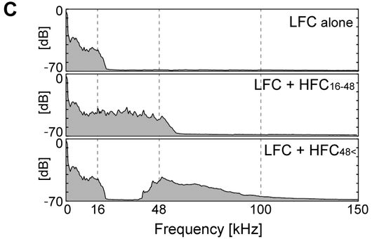 Alte Männer hören Ultraschall