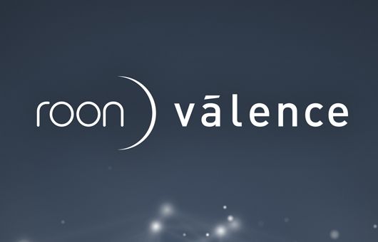 Faktencheck: Roon Valence 1.7