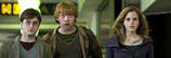 Harry Potter und die Heiligtümer des Todes 1