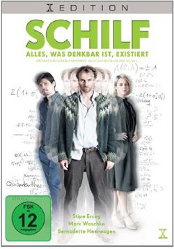 Schilf