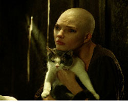 Splice - Basteln mit Genen