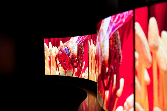 Im Bereich Curved-OLED stellt Panasonic beeindruckende Prototypen aus. Ob es die gebeugten Screens jemals in die Wohnzimmer der Durschnittsbürger schaffen werden - darüber rätselt im Moment die ganze Industrie.