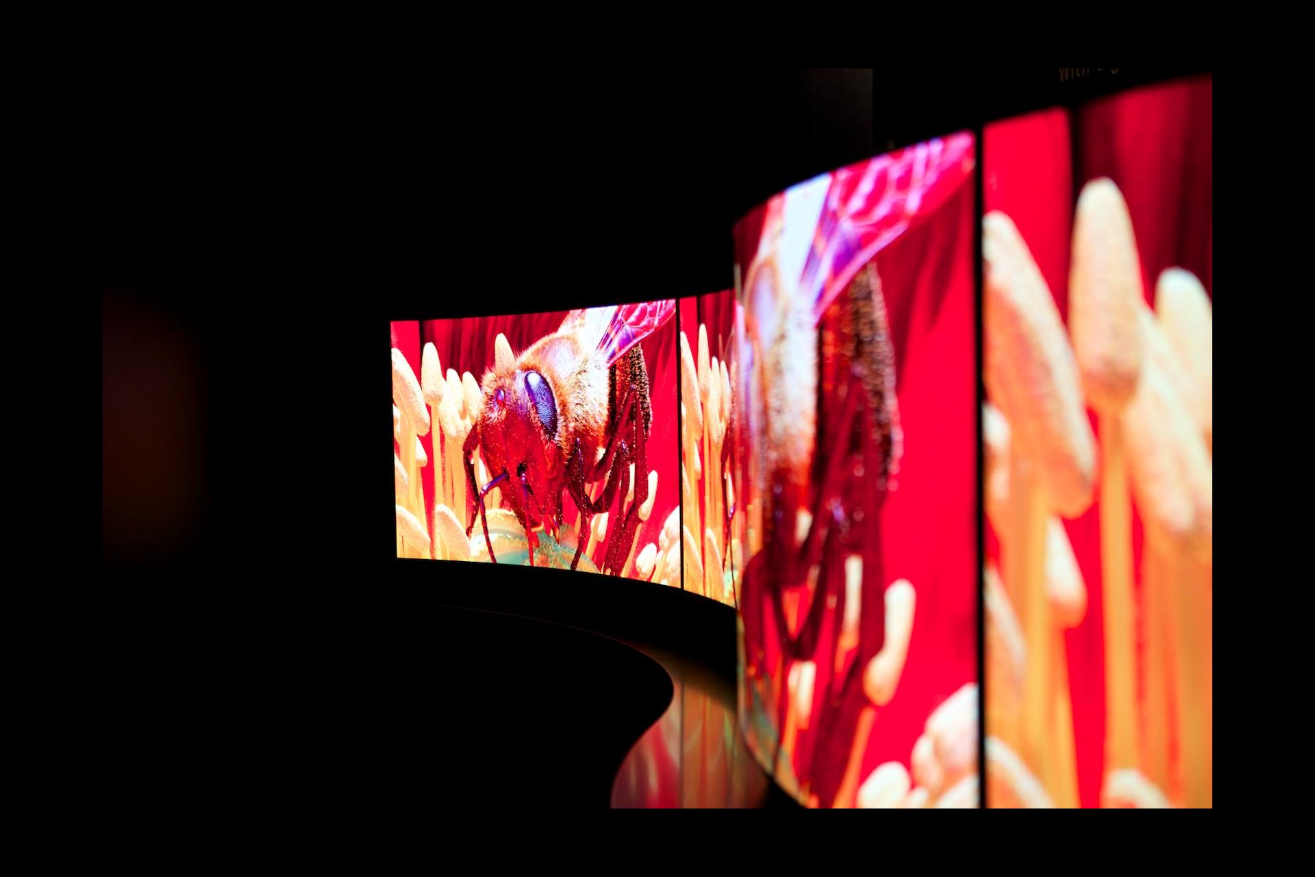 Im Bereich Curved-OLED stellt Panasonic beeindruckende Prototypen aus. Ob es die gebeugten Screens jemals in die Wohnzimmer der Durschnittsbürger schaffen werden - darüber rätselt im Moment die ganze Industrie.