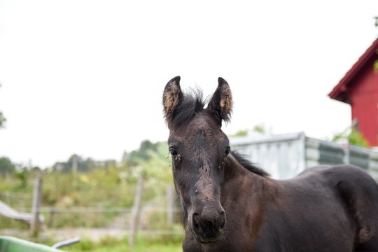 Testaufnahmen mit der Nikon D810.