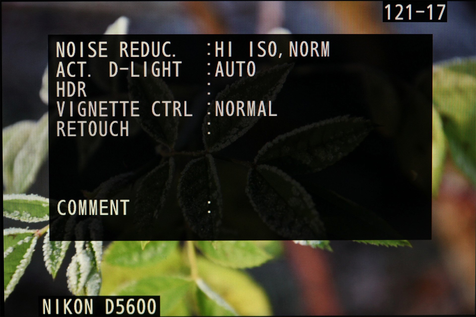 Nikon D5600, Einzelbildwiedergabe mit ausführlichen Aufnahmedaten, Teil 3.