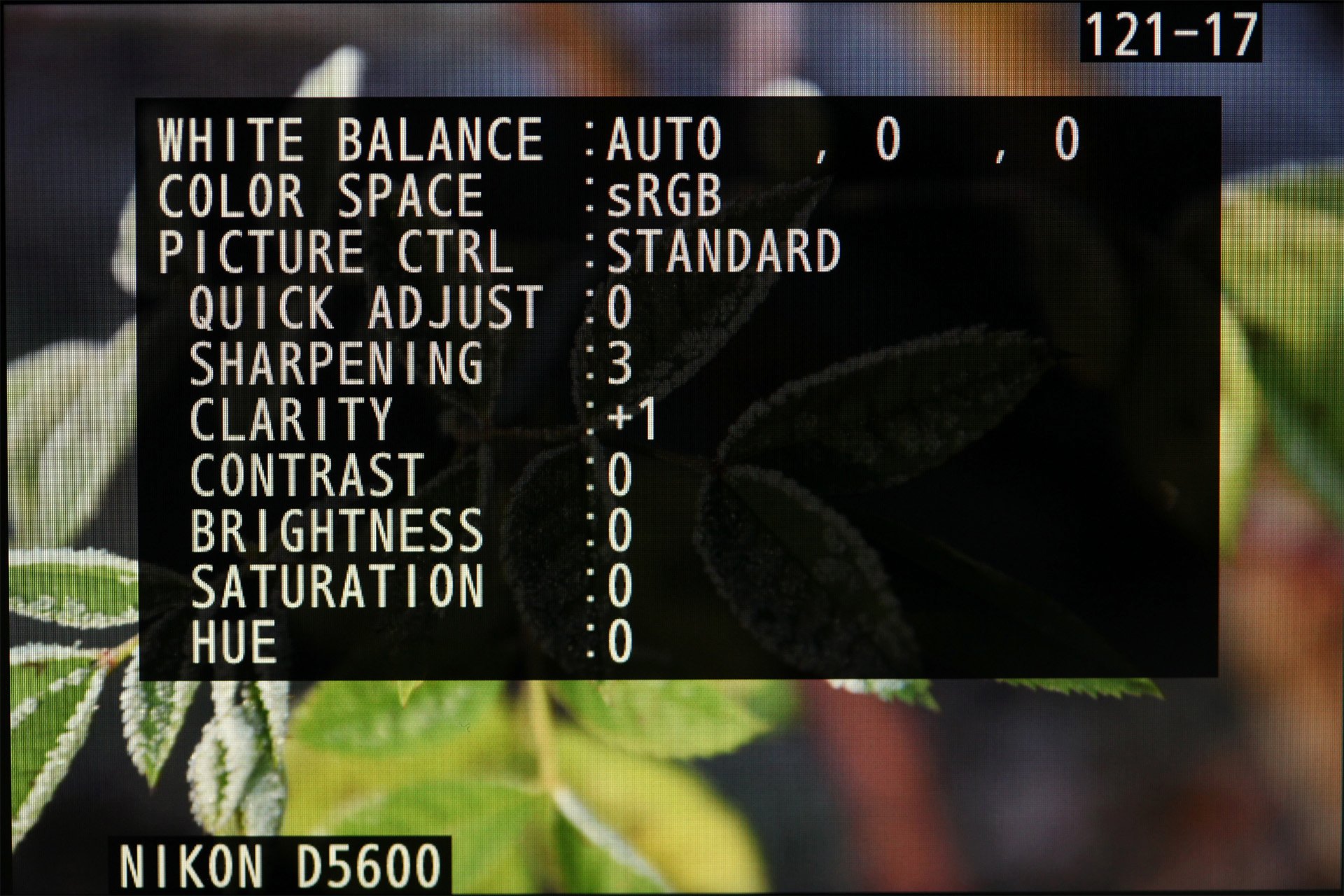 Nikon D5600, Einzelbildwiedergabe mit ausführlichen Aufnahmedaten, Teil 2.