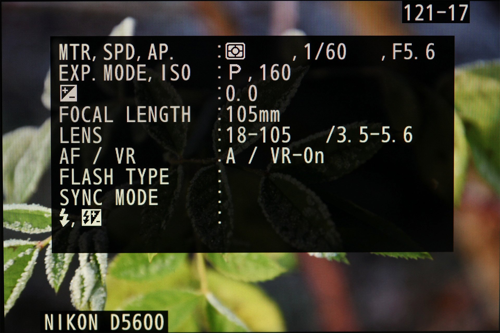 Nikon D5600, Einzelbildwiedergabe mit ausführlichen Aufnahmedaten, Teil 1.