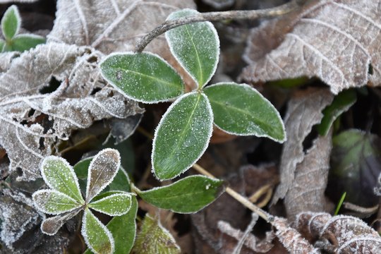 Nikon D5600, unbearbeitetes JPG-Foto, 1/60 Sek, f/5.8, ISO 800.