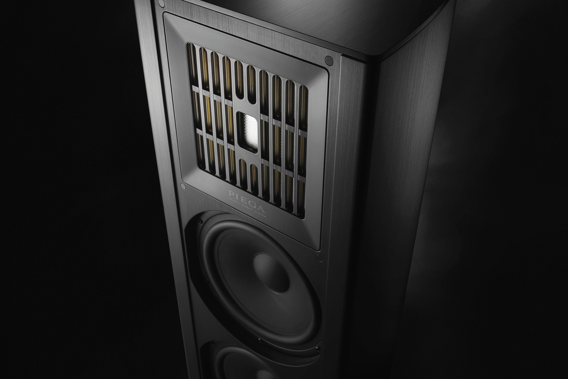 Piega Coax 2.0 Serie: Nebst der unglaublich fein auflösenden neuen Standbox Coax 711 zeigt voice70 auch die Regal Version Coax 311, natürlich handgefertigt in Horgen am Zürichsee.
