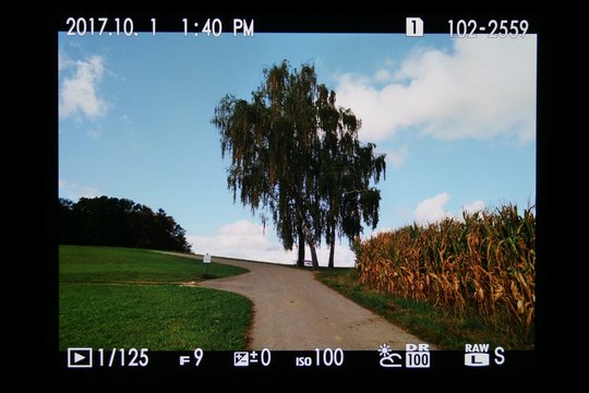 Fujifilm GFX 50S: Wiedergabemenü, Basisbildinformationen.