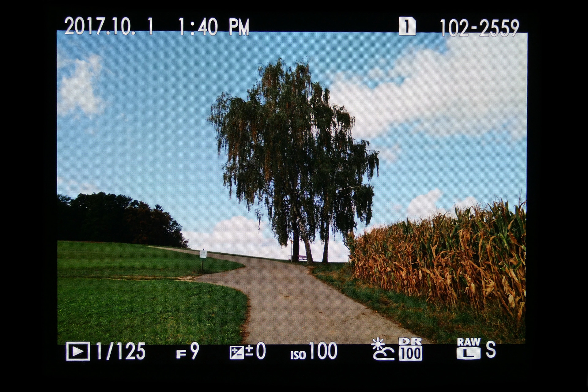 Fujifilm GFX 50S: Wiedergabemenü, Basisbildinformationen.