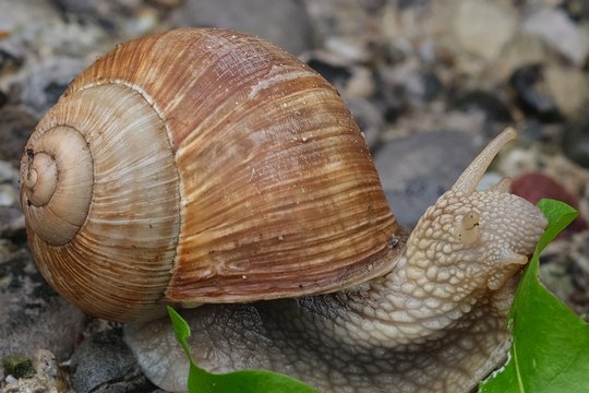 Fujifilm GFX 50S Beispielbild 09, Ausschnitt aus Original-JPEG aus Kamera, auf 1920 x 1280 Pixel reduziert.