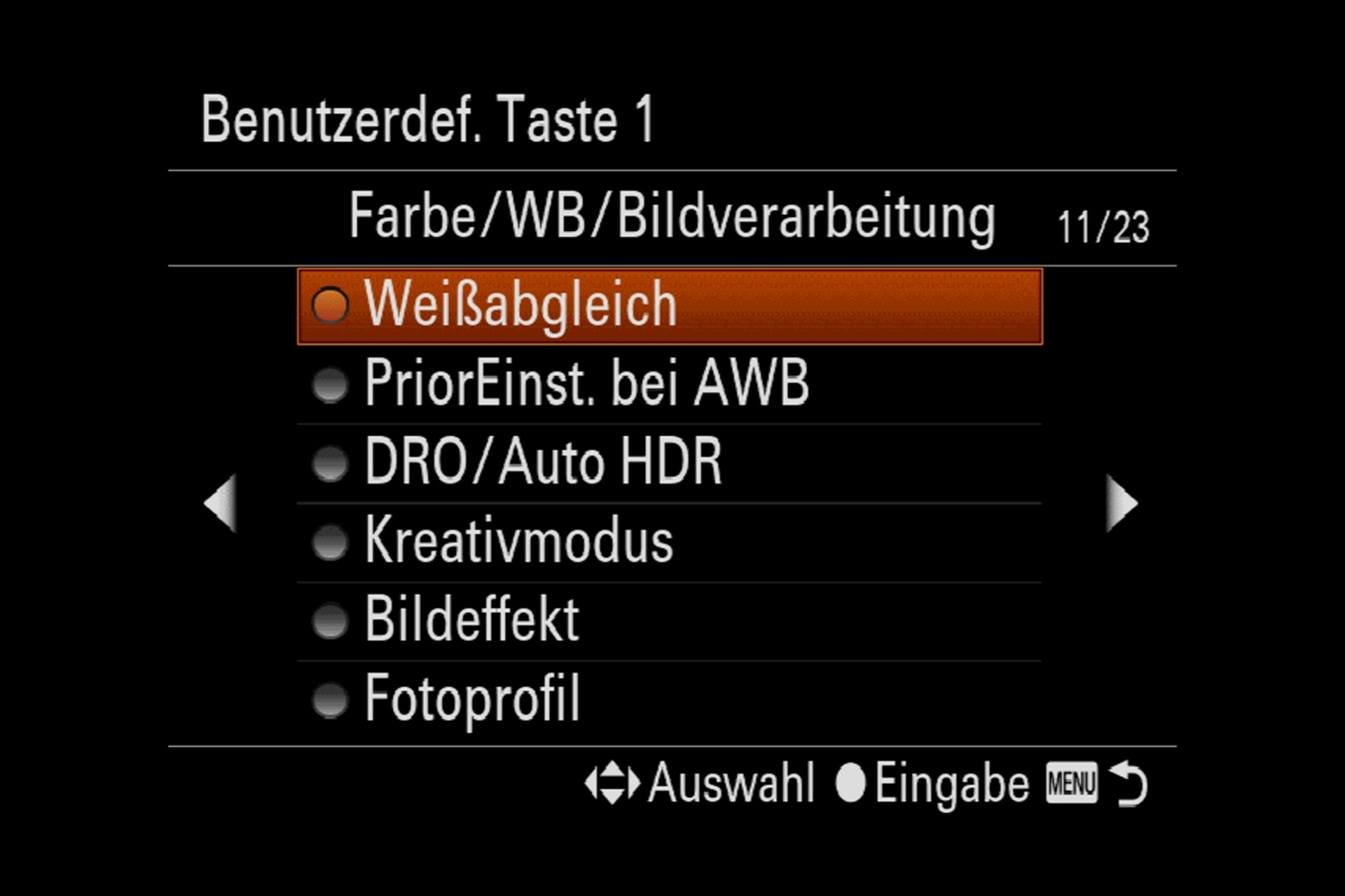 Sony Alpha 7R III Menüsystem. Die gewünschte Taste, hier Benutzertaste 1, kann mit einer Funktion aus einer 23 Menüseiten langen Auswahl belegt werden.