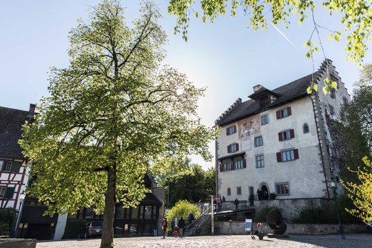 Im Schloss Greifensee klingt am Wochenende in der Aprilmitte Musik aus allen Ecken. Zur 13. Runde im malerischen Treffpunkt für Audiophile mutiert sogar die Schlossküche zur Hörküche.
