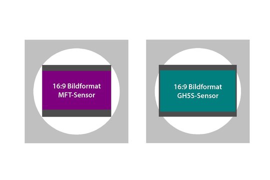 Sensorflächenvergleich GH5 und GH5S: Wird im 16:9-Verhältnis für UHD oder Full-HD-Video gefilmt, werden die Unterschiede noch deutlicher. Der normale Micro-FourThirds-Sensor muss oben und unten noch mehr Fläche abgeben und verkleinert damit auch den Bildwinkel. Der GH5S-Sensor kann wiederum die gesamte Breite ausfüllen, seine 16:9-Videos sind 4016 x 2259 Pixel gross und ohne Bildwinkel-Beeinträchtigung.