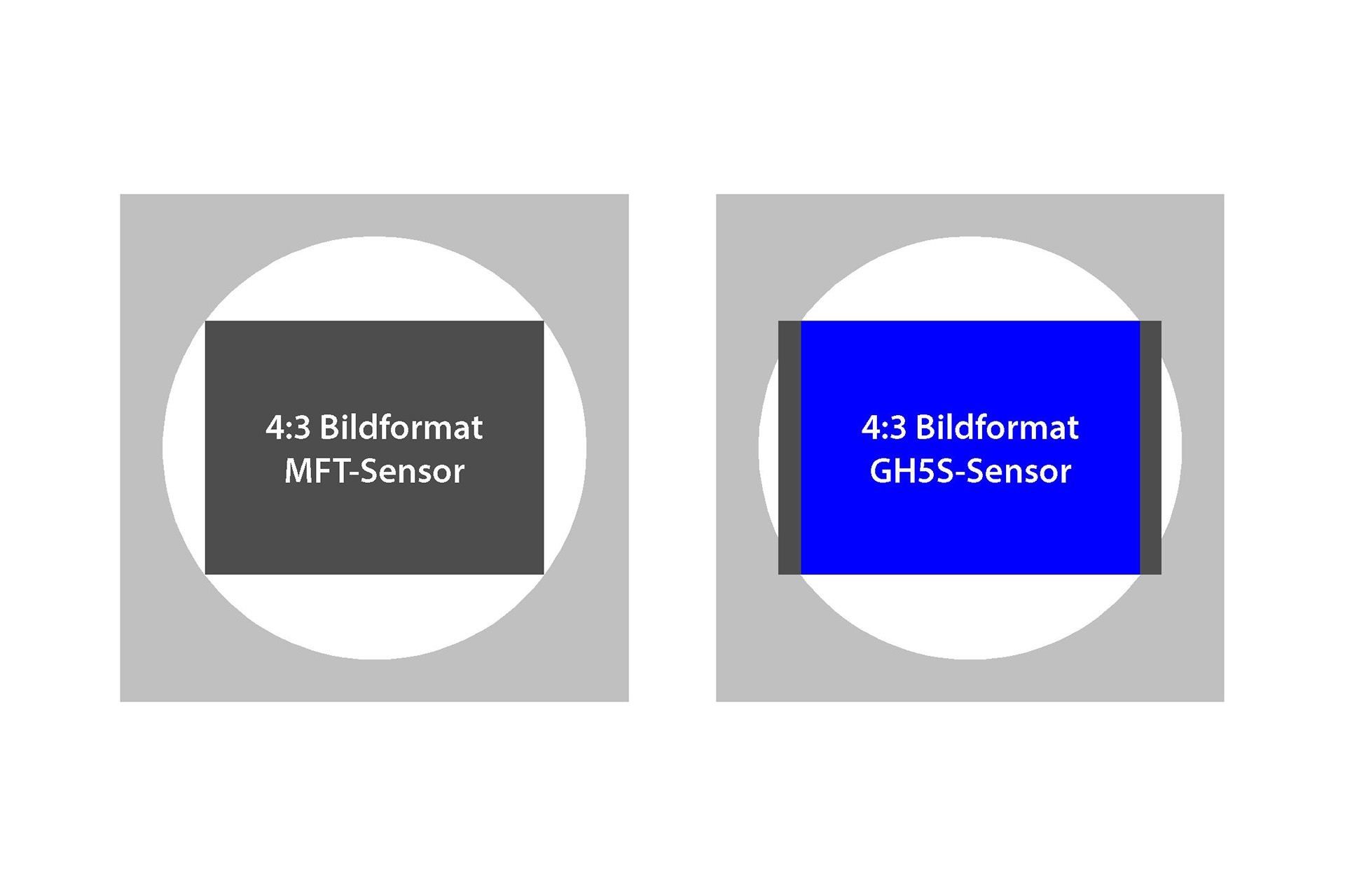 Sensorflächenvergleich GH5 und GH5S: Wird im 4:3-Verhältnis fotografiert, nutzt der normale Micro-FourThirds-Sensor seine ganze Fläche. Beim breiteren Sensor bleiben rechts und links schmale Streifen unbenutzt. Beides Mal ergeben sich Bildergrössen mit 3680 x 2760 Pixeln.