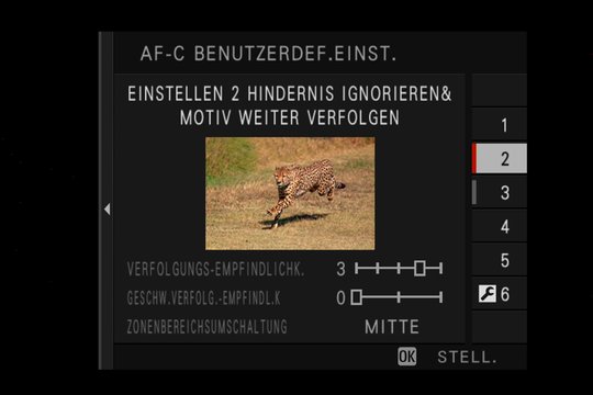 Fujifilm X-H1: Einstellung 2: Verfolgung eines bestimmten Objektes, z.B. Tiere oder Zug (plötzlich auftretende Hindernisse werden ignoriert, Hauptobjekt bleibt im Fokus).