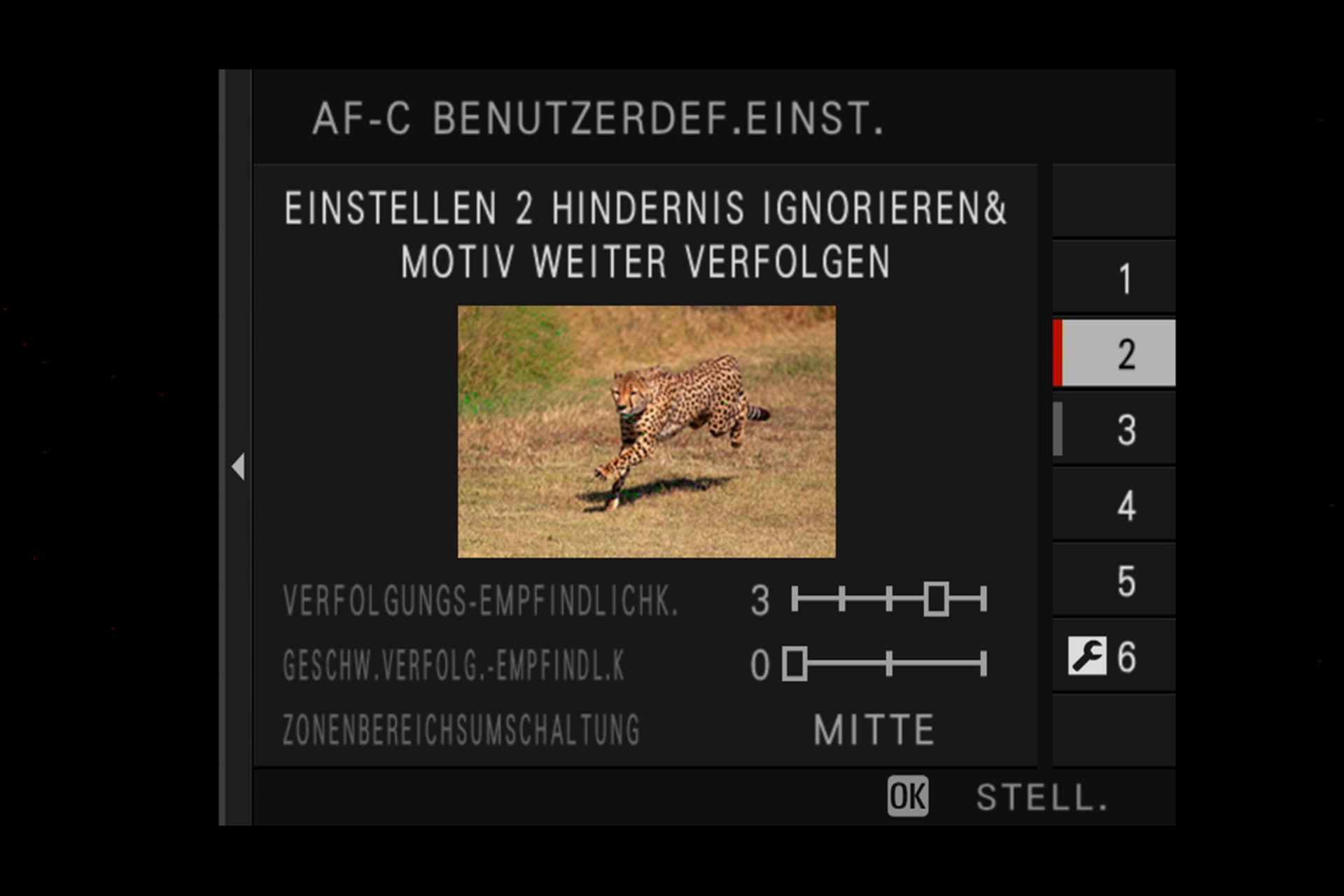 Fujifilm X-H1: Einstellung 2: Verfolgung eines bestimmten Objektes, z.B. Tiere oder Zug (plötzlich auftretende Hindernisse werden ignoriert, Hauptobjekt bleibt im Fokus).