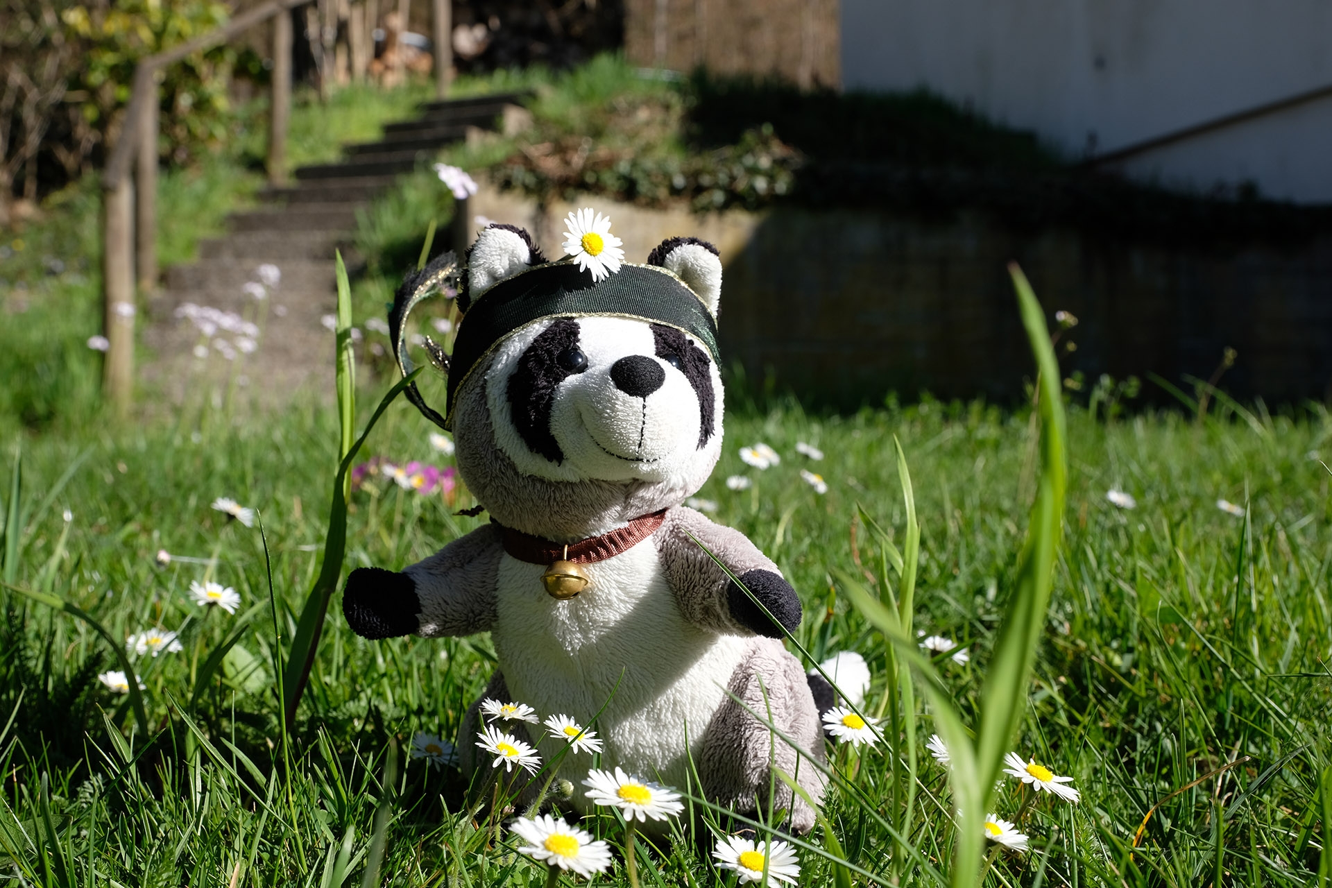 Fujifilm X-H1, Beispielfoto 5. 45 mm, f/9, 1/200 Sek., ISO 200.
