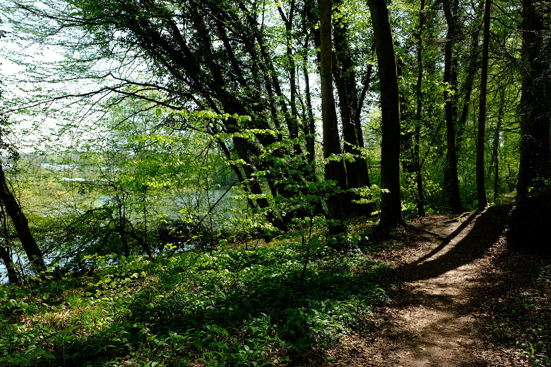 Fujifilm X-H1, Beispielfoto 9. 33 mm, f/5, 1/210 Sek., ISO 200.