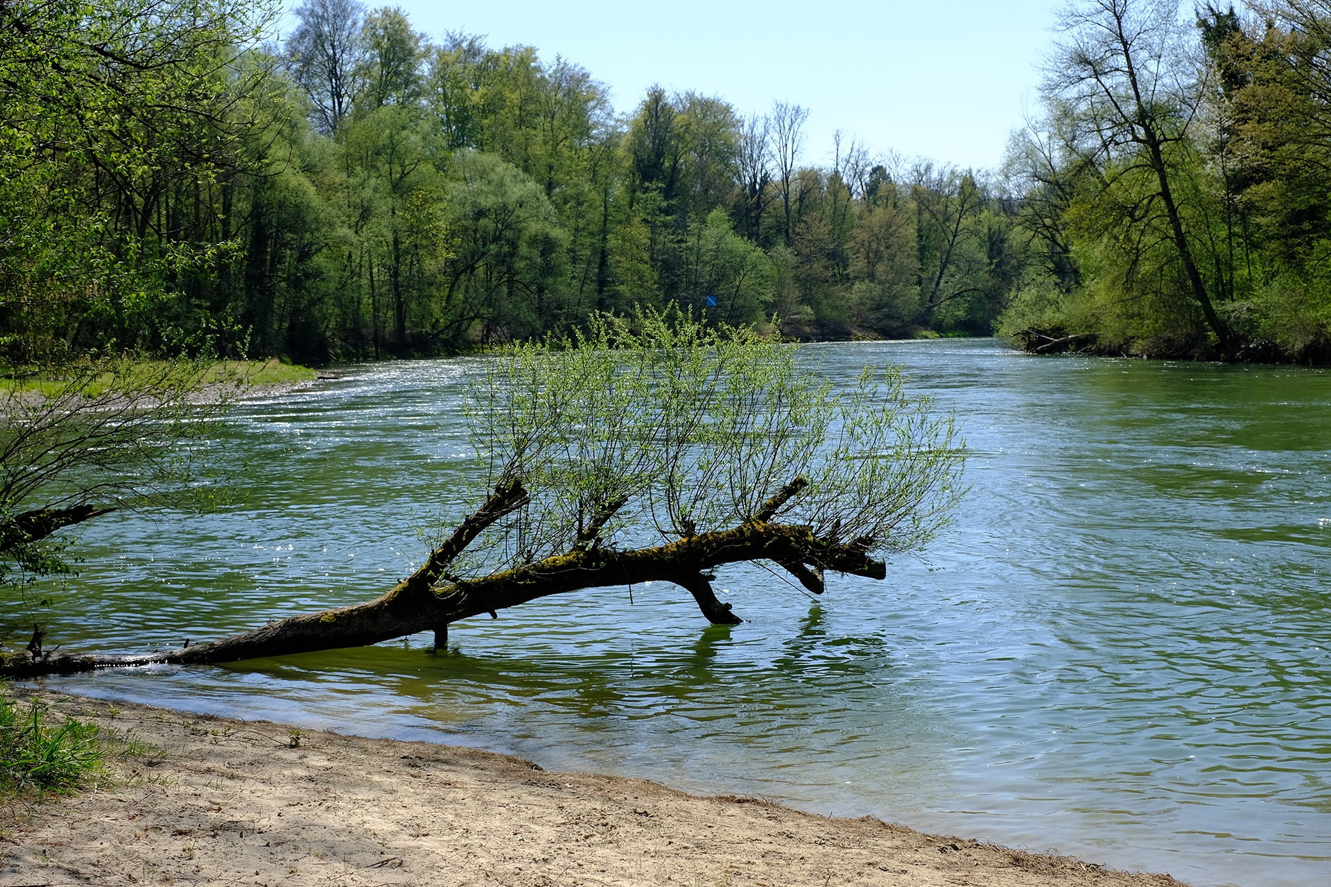 Fujifilm X-H1, Beispielfoto 10. 50 mm, f/5.6, 1/680 Sek., ISO 200.