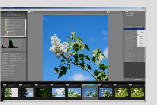 Fujifilm X-H1. Entwicklung der Raw-Daten im Fujifilm X Raw Studio: Nachträgliches Anpassen von Bildgrösse und -format.