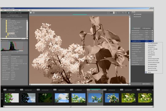 Fujifilm X-H1. Entwicklung der Raw-Daten im Fujifilm X Raw Studio: Nachträgliches Anpassen der Analogfilm-Simulation von Standard Provia auf Sepia.