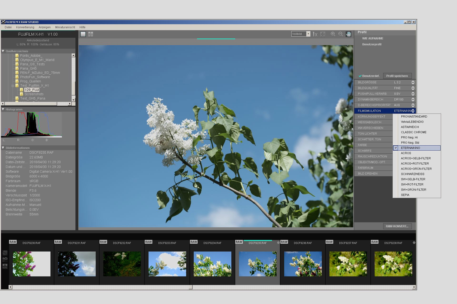 Fujifilm X-H1. Entwicklung der Raw-Daten im Fujifilm X Raw Studio: Nachträgliches Anpassen der Analogfilm-Simulation von Standard Provia auf Eterna/Kino.