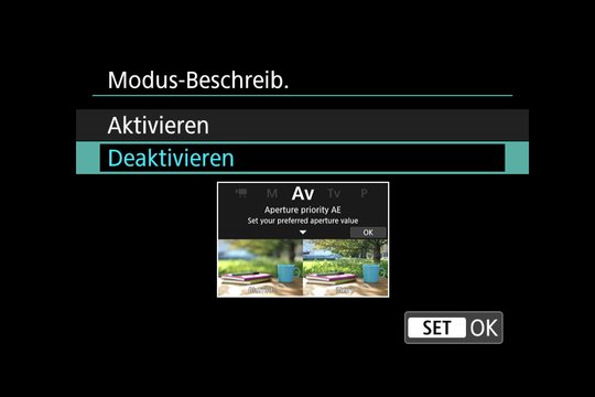 Canon M50, Einsteiger-Hilfe und Menüsystem. Wählbare Beschreibung der einzelnen Kamera-Modi.