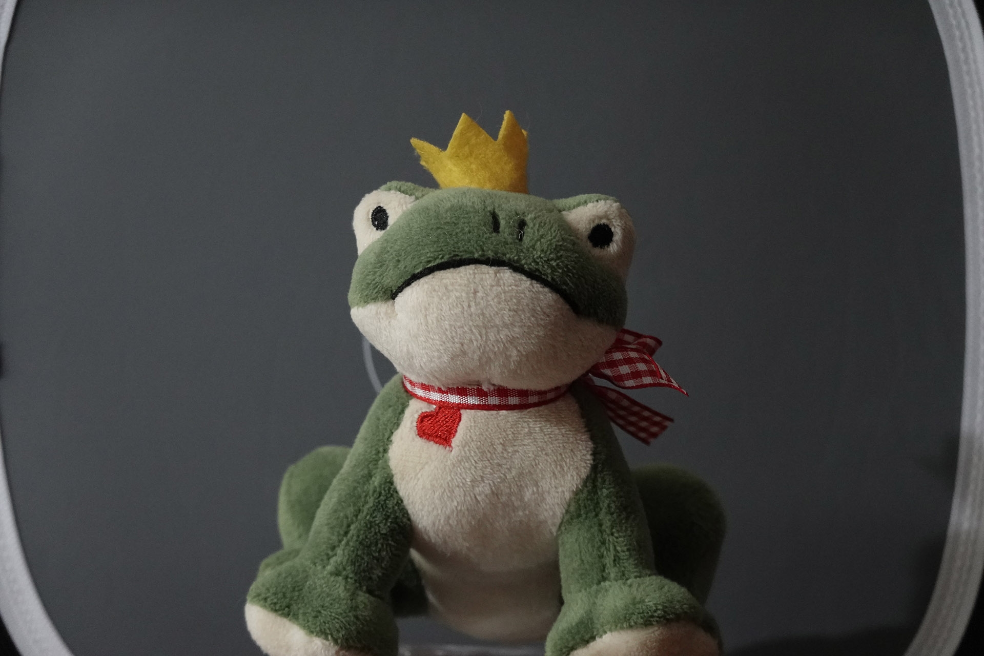 High-ISO, Froschkönig. Brennweite 89 mm, f/4, 1/50 Sek., ISO 1600.