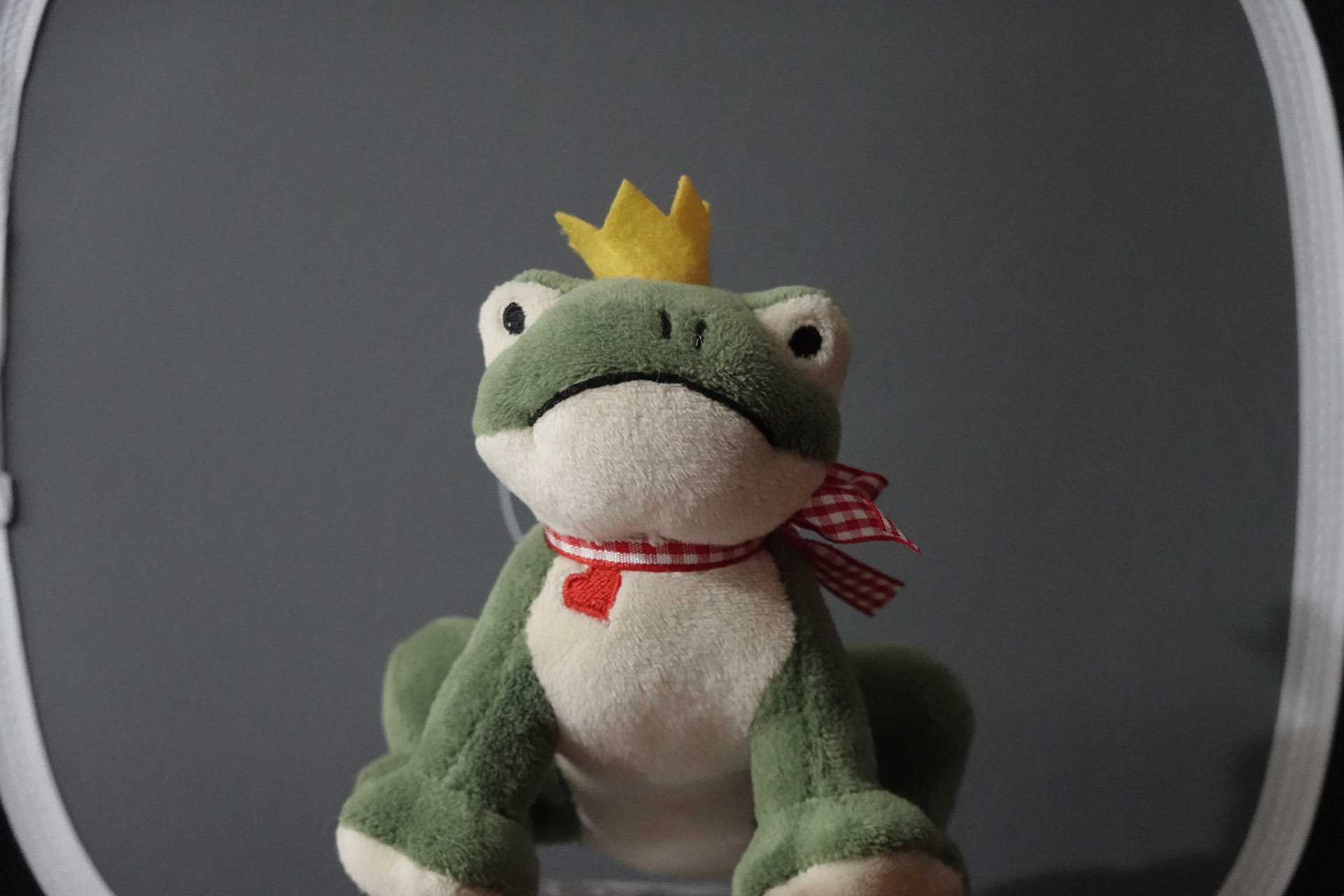 High-ISO, Froschkönig. Brennweite 89 mm, f/4, 1/80 Sek., ISO 3200.