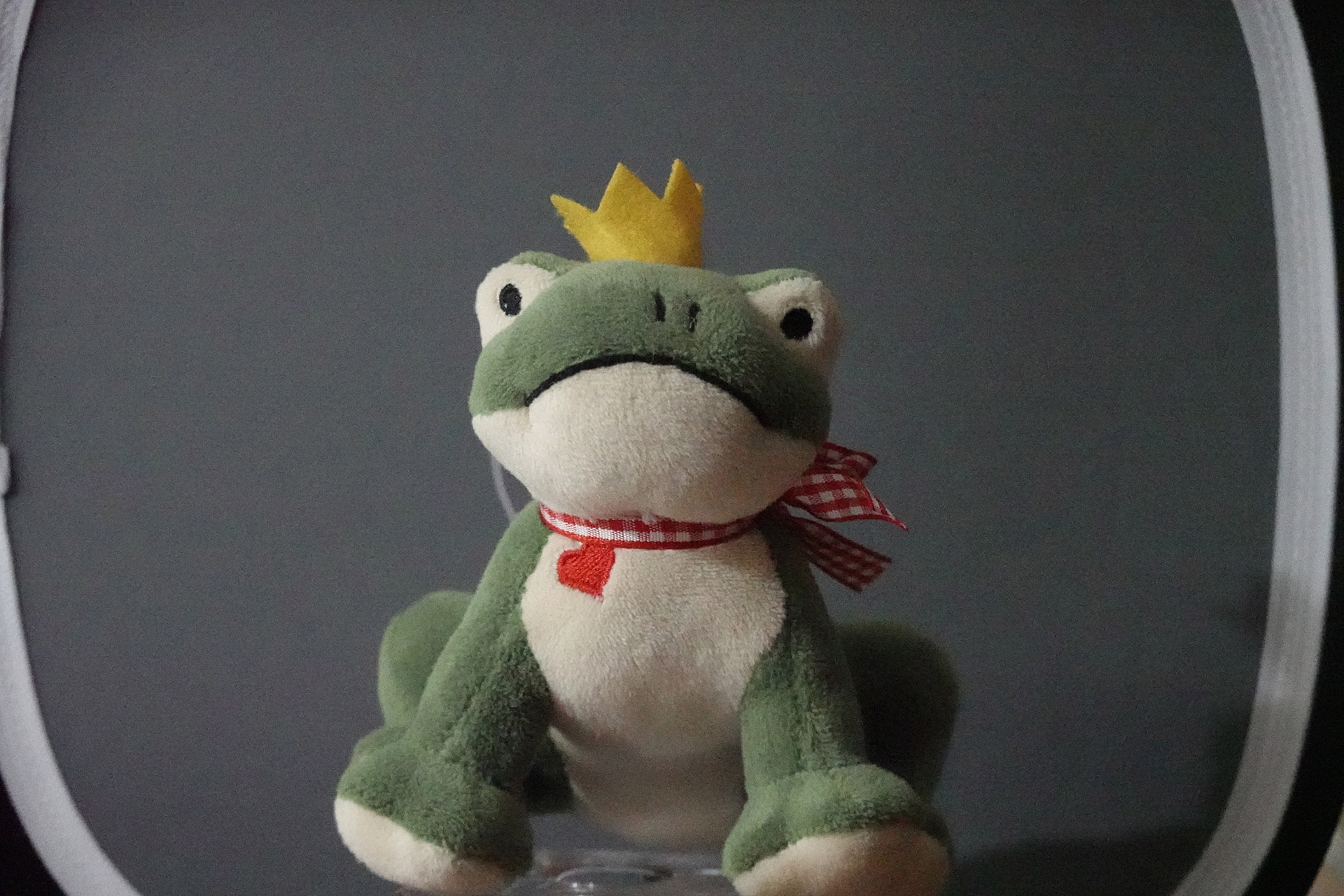 High-ISO, Froschkönig. Brennweite 89 mm, f/4, 1/320 Sek., ISO 12800.