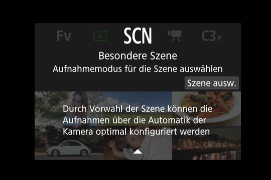 Wahlrad-Symbol SCN, besondere Szene.