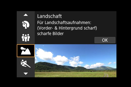 Wahlrad-Symbol SCN, Untermenü Landschaft.