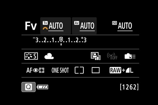 Fv-Modus: Stehen alle Parameter auf Auto (oberste Zeile), entspricht dies dem Programmmodus P.