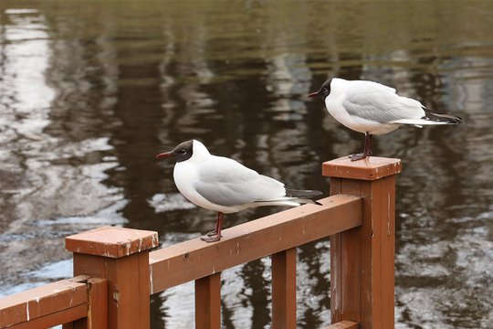 RF24-105mm, Brennweite 105 mm, f/8.0, 1/125 sec., ISO 320, Weissabgleich Bewölkt.