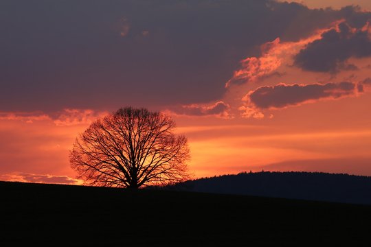 EF 70-200mm f/4L IS USM +1.4x, Brennweite 280 mm, f/5.6, 1/160 sec., ISO 100, Weissabgleich Bewölkt.