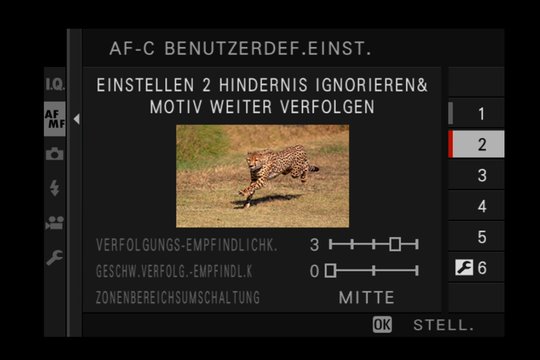 Einstellung 2: Verfolgung eines bestimmten Objektes, z.B. Tiere oder Zug (plötzlich auftretende Hindernisse werden ignoriert, Hauptobjekt bleibt im Fokus).