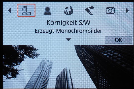 Effekt: Körnigkeit S/W