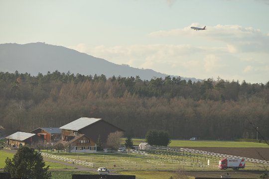 Picture-Control «Ausgewogen»