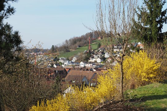 Hochaufgelöste Aufnahme aus freier Hand, ganzes Bild, M.Zuiko 40-150mm, 40 mm, P, f/6.3, 1/400 sec., ISO 200, WB Sonnig.