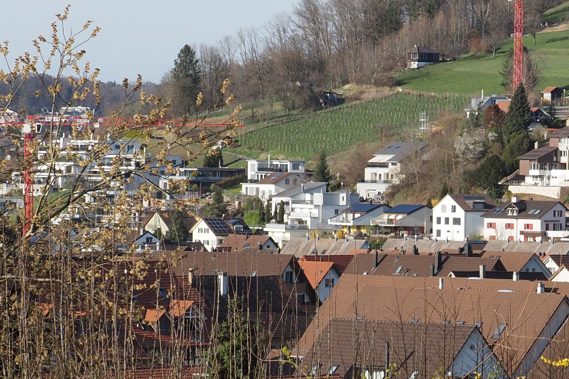 Normale Aufnahme aus freier Hand, Bildausschnitt, M.Zuiko 40-150mm, 40 mm, P, f/6.3, 1/400 sec., ISO 200, WB Sonnig.