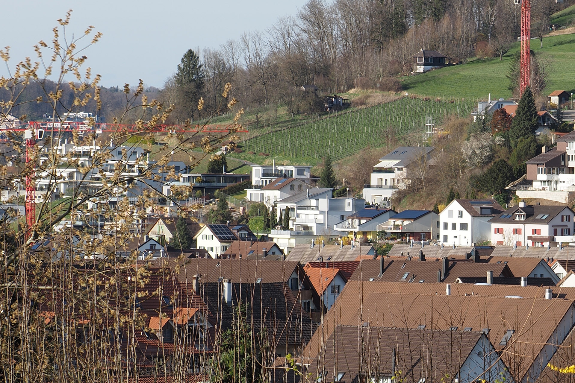 Hochaufgelöste Aufnahme aus freier Hand, Bildausschnitt, M.Zuiko 40-150mm, 40 mm, P, f/6.3, 1/400 sec., ISO 200, WB Sonnig.